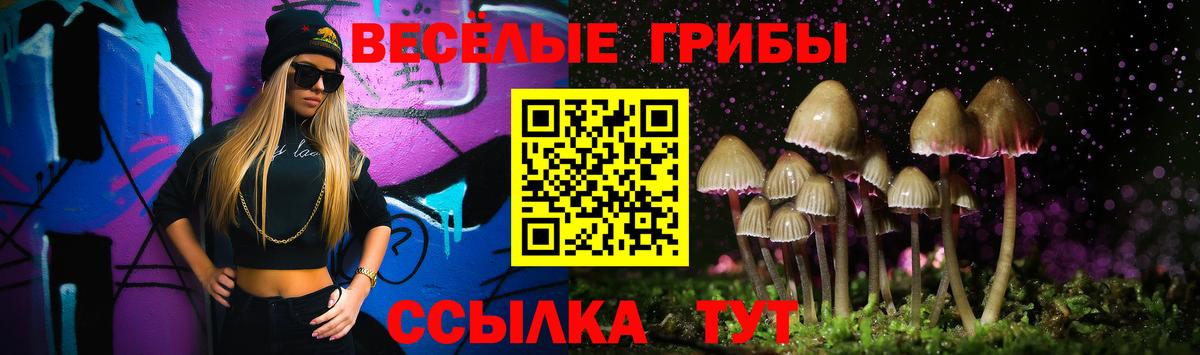 Галлюциногенные грибы Magic Shrooms Санкт-Петербург